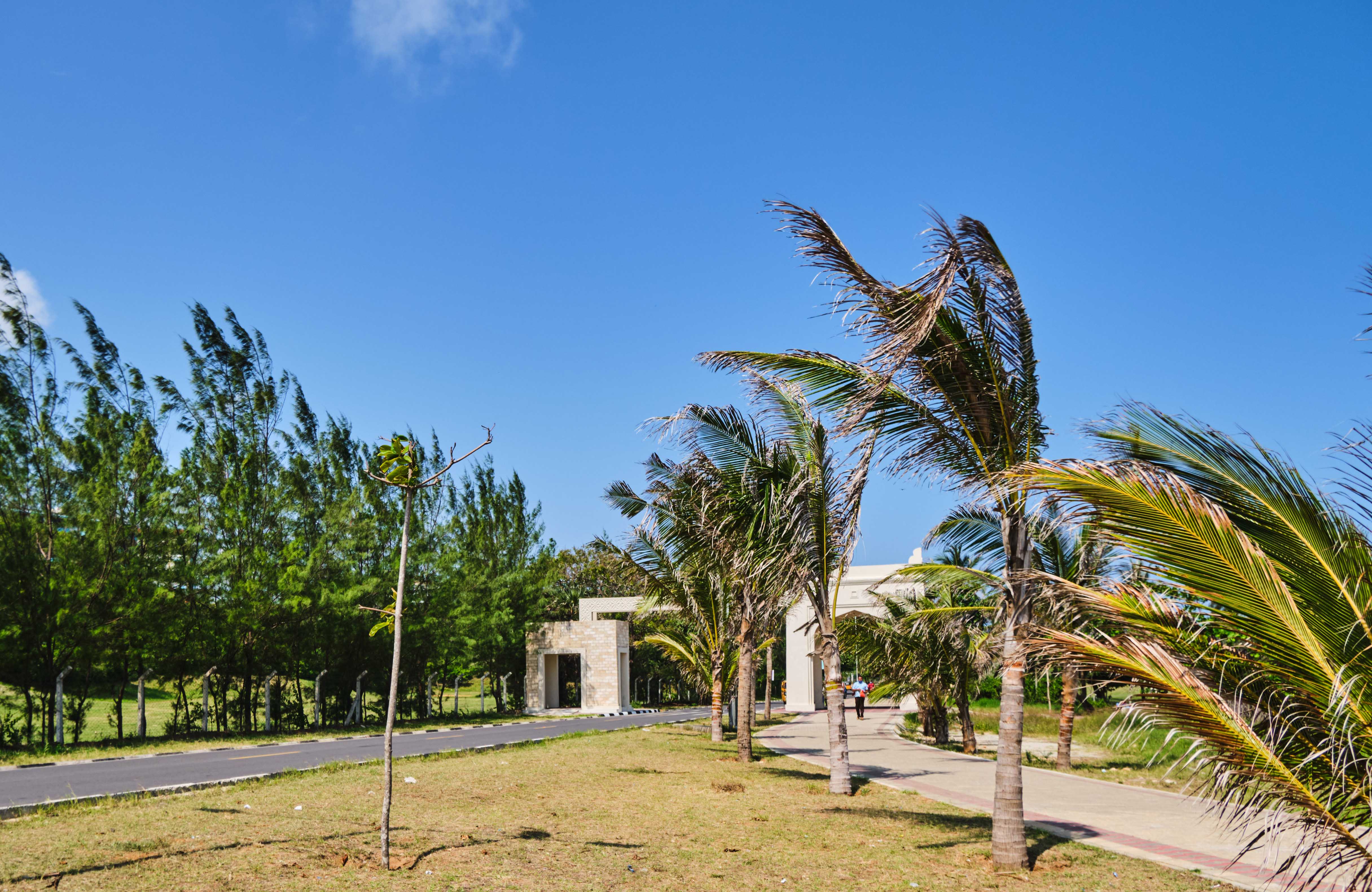 Mama Ngina Waterfront, 2019 — image 7 of 9